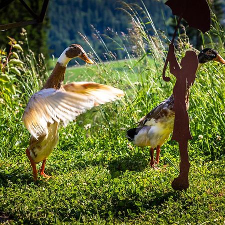 Schwemmberg Gschwandtgut Urlaub Am Bauernhof 빌라 외부 사진